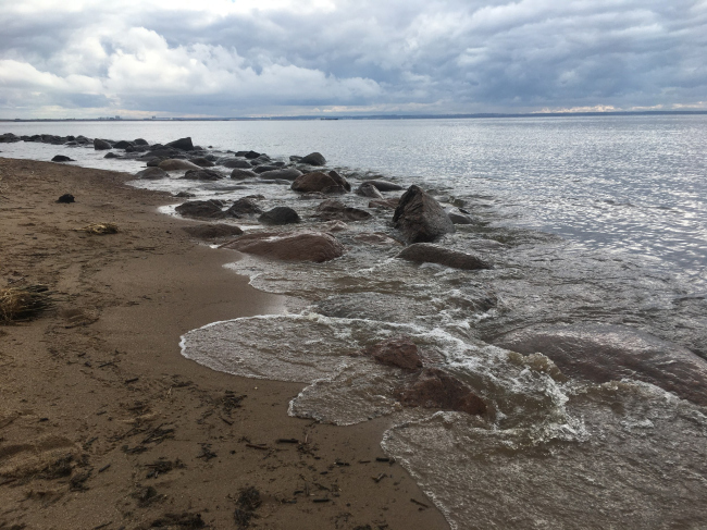 �������� ������