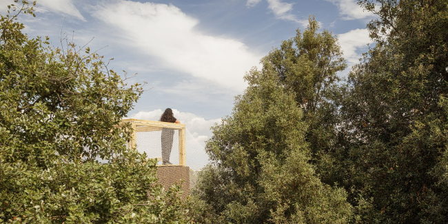 ������ ����������� FLORA