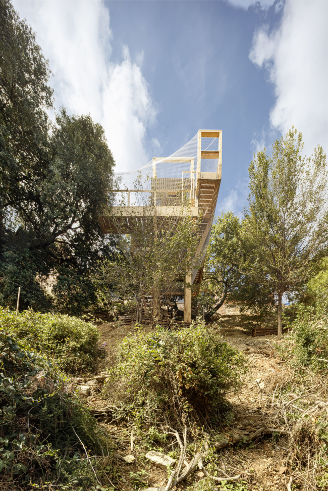 ������ ����������� FLORA