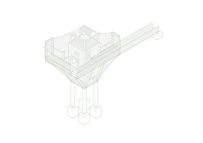 ������ ����������� FLORA