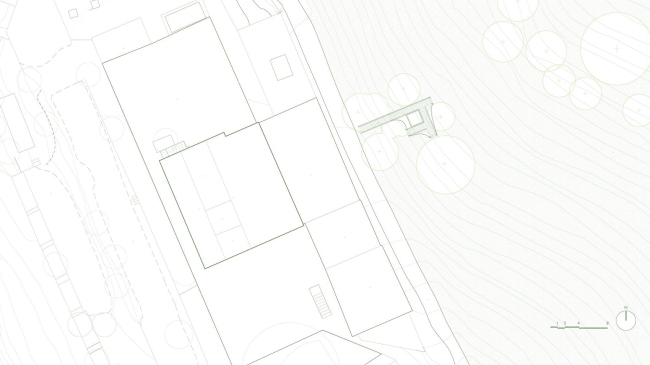 ������ ����������� FLORA