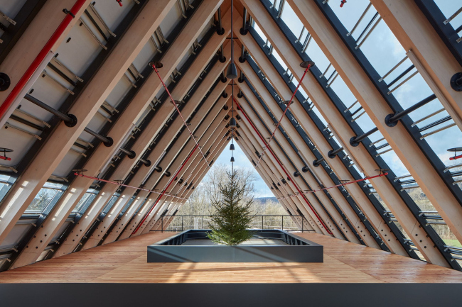 ����-�������� �������� Kloboucká lesní � ������-��������