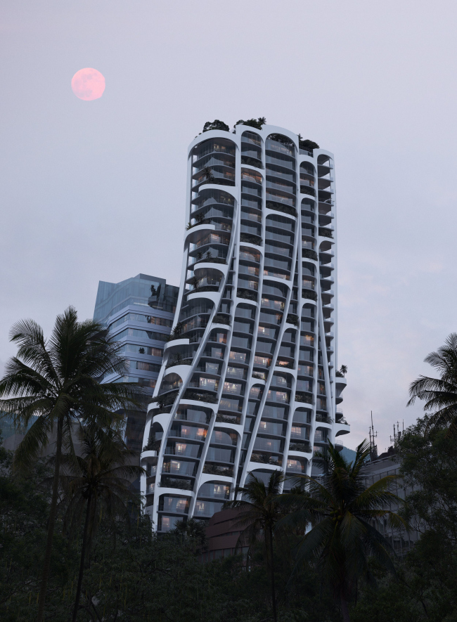 ������������������� �������� Qondesa � ����