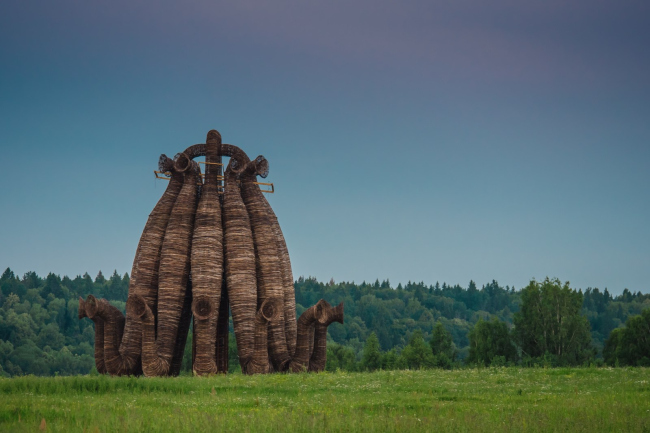 ������� ���������. �����, 2013