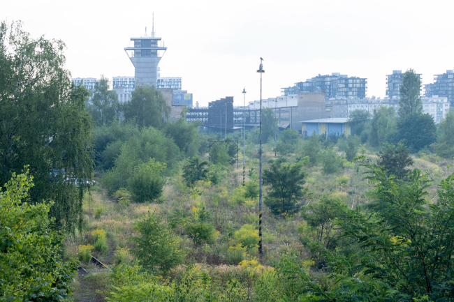 ���� ����. ���������� ����� �� ����� ��������� �������