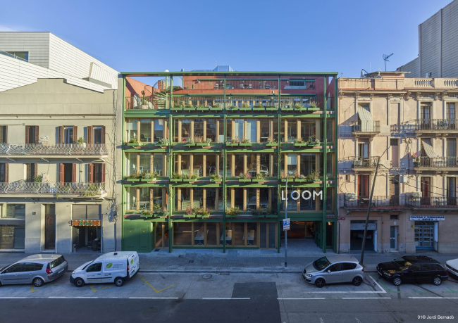 ��������� LOOM Ferretería