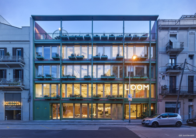 ��������� LOOM Ferretería