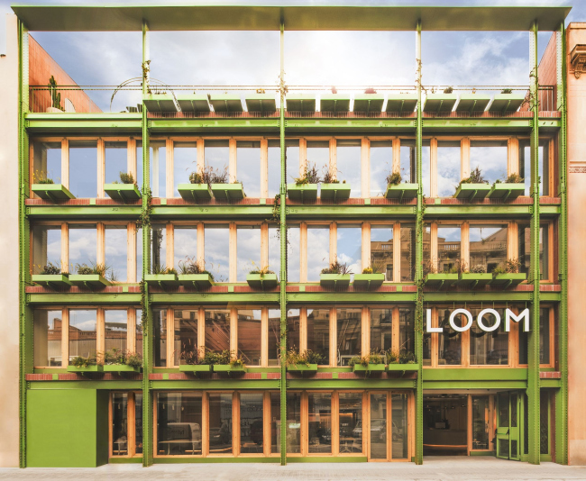 ��������� LOOM Ferretería