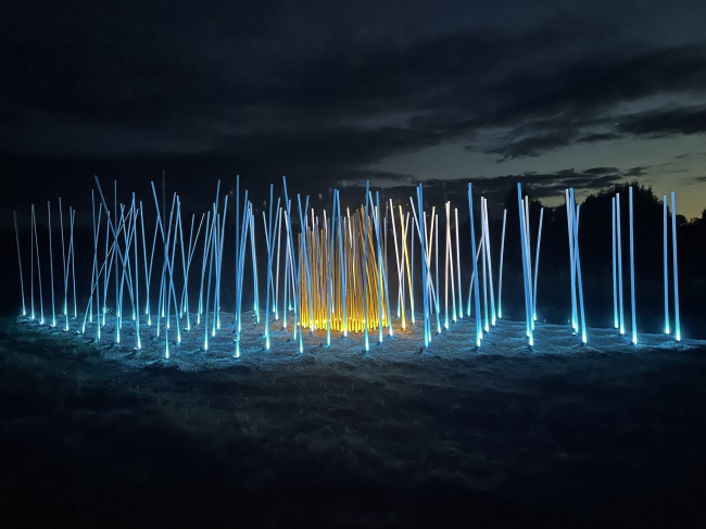 ������ ��������� ���� �� ������ � ������-�������, 2022