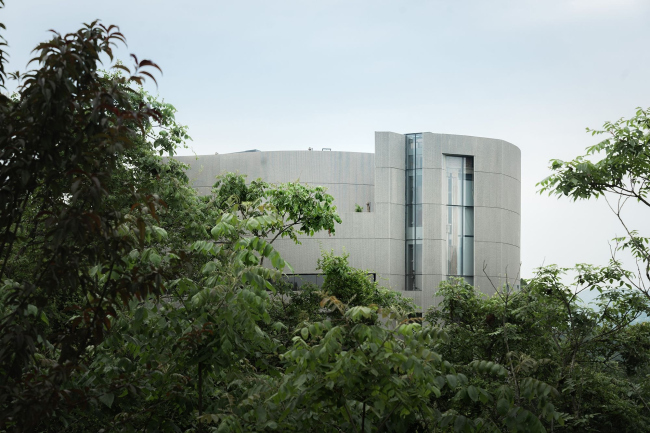 ������������-����������������� �������� ������������� ���� �������