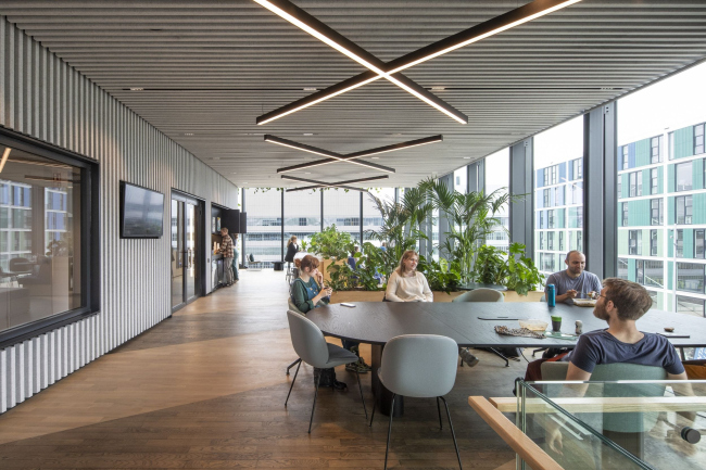 ������� � ������������ ������ Matrix ONE