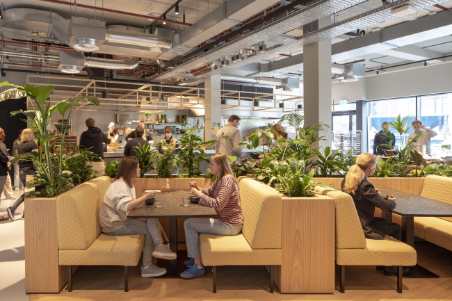 ������� � ������������ ������ Matrix ONE