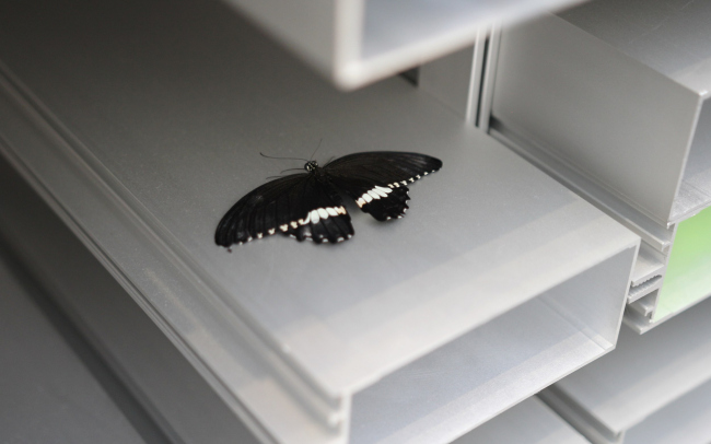 ������ SSA �� ������ �������� ������