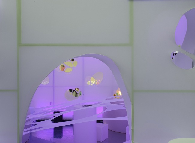 ����� �� APEX