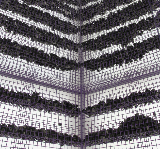 ����� �������� �����������