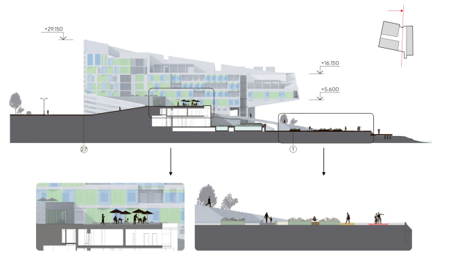 ��������� � �����-��������������� ������� � ��������