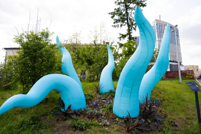 ���-������ �20:30�,
���� ������