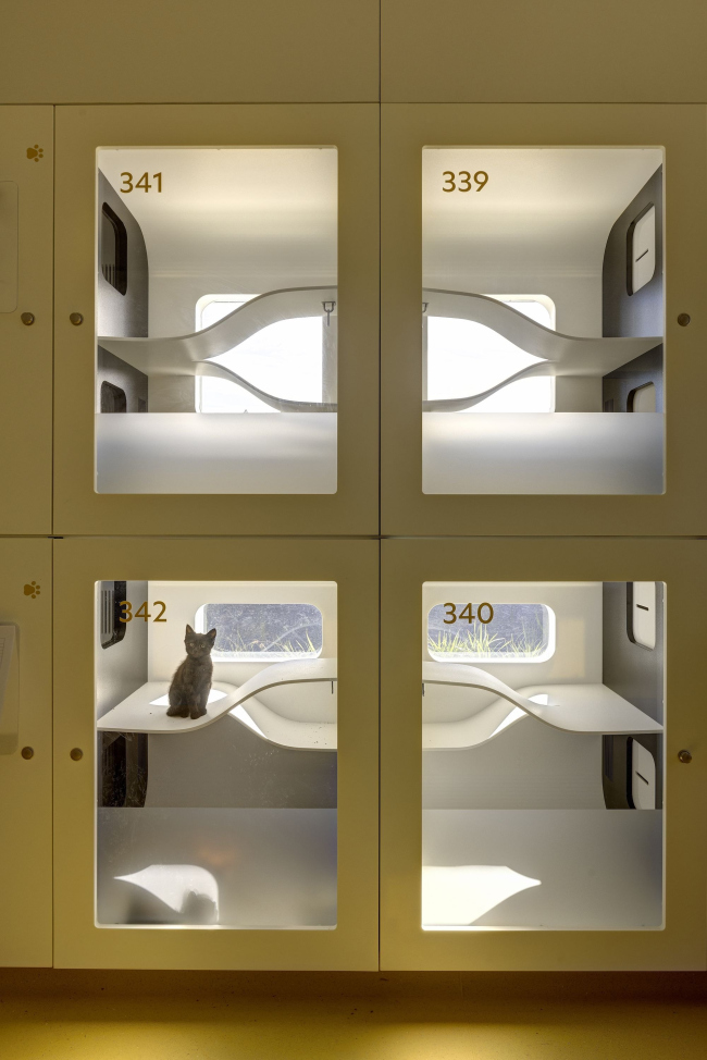 ����� ������������ �������� �������� � ��������� � BARC