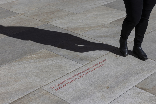 ����� ������������ �������� �������� � ��������� � BARC