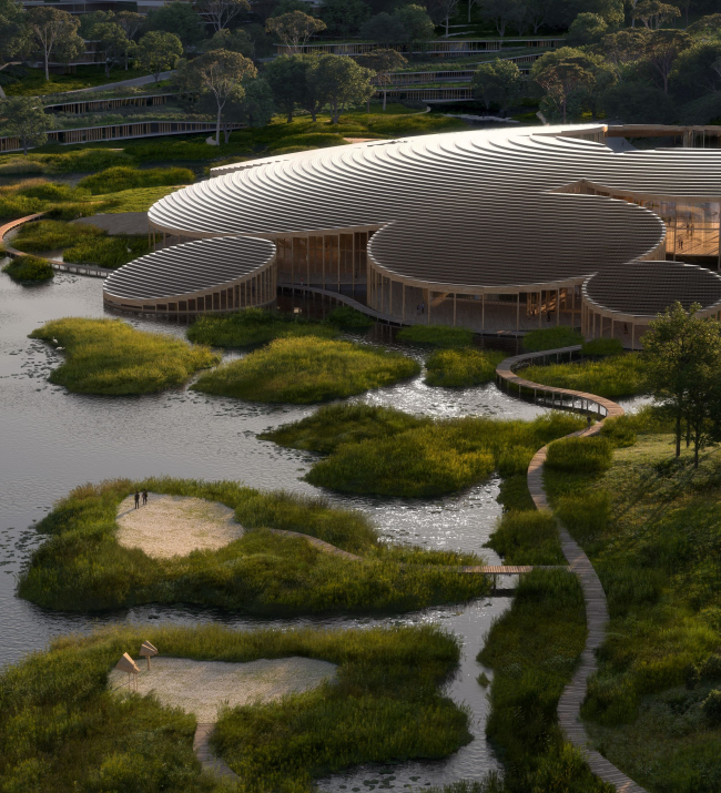 ������������ ������ ������� � ���������