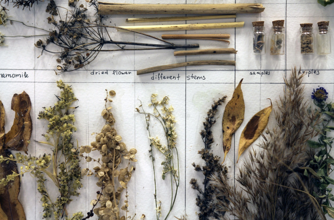 ������ 2023