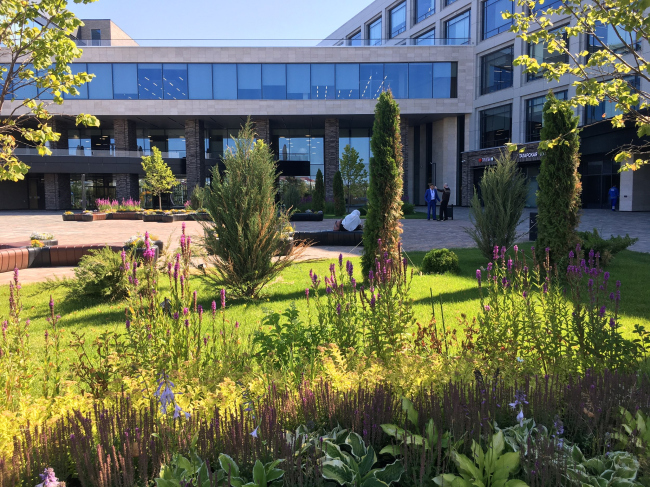 IT-���� ����� ������ ������� �� ������� ����� ������ �����