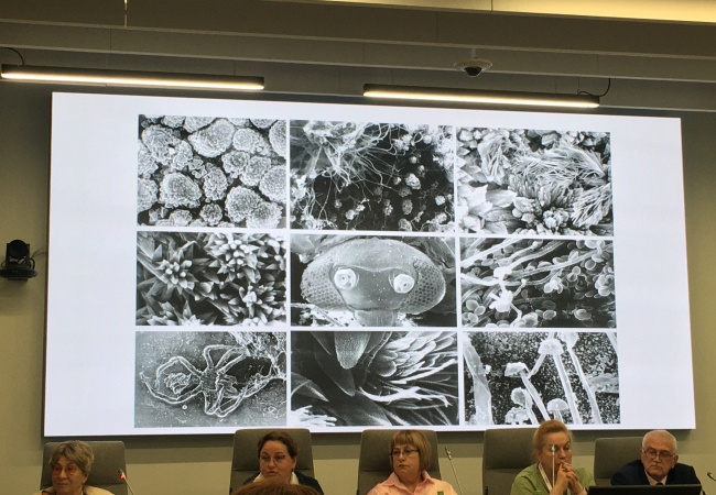 ����� ������, 2023