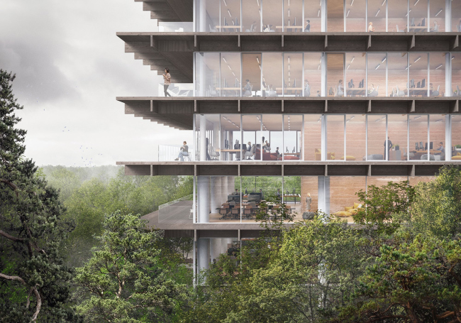 ������� �������� Poort van de Prijkels