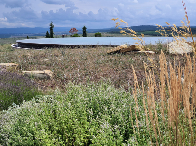 ������-������. ���������� � ���-�������. ����������, 2013-2017