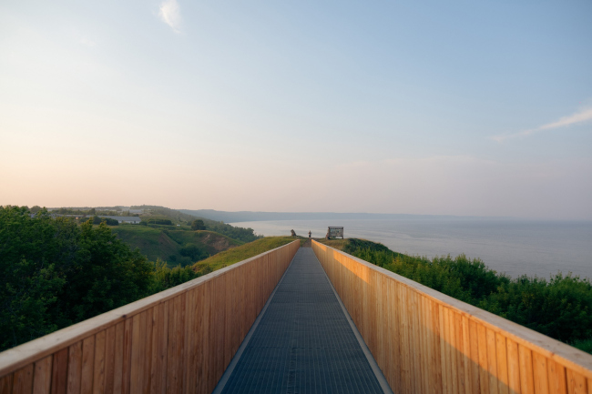 320 �������� � �������: ����� �� ��������. ��������