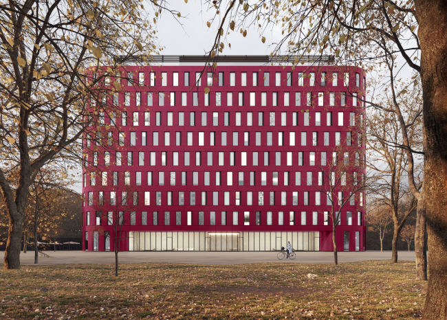 ������-����� Noon