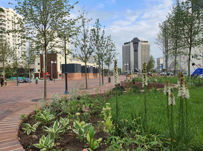 �������������� �������, ������������� ������ ���������������