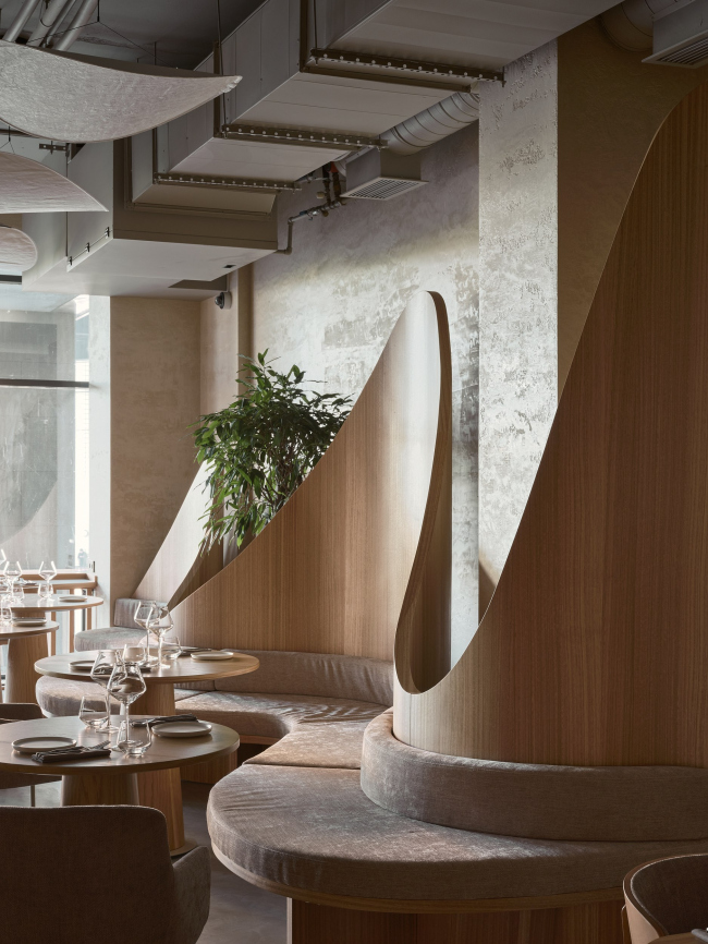 Wine bar, �����-���������