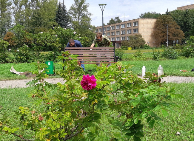 ���������� �� ������� ��������������� ���������� ������������ ������