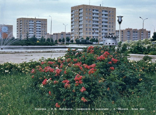 ��� �� ������ �� �������