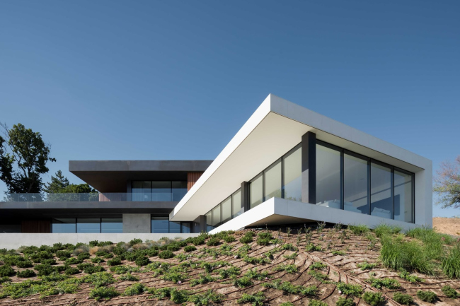 Fedorova Architects , ������ ����� ��������