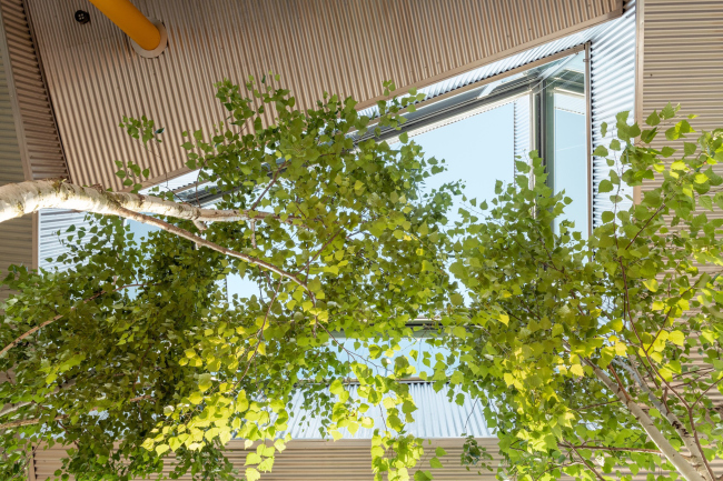 ������� ��� � ��������� ������ ��������