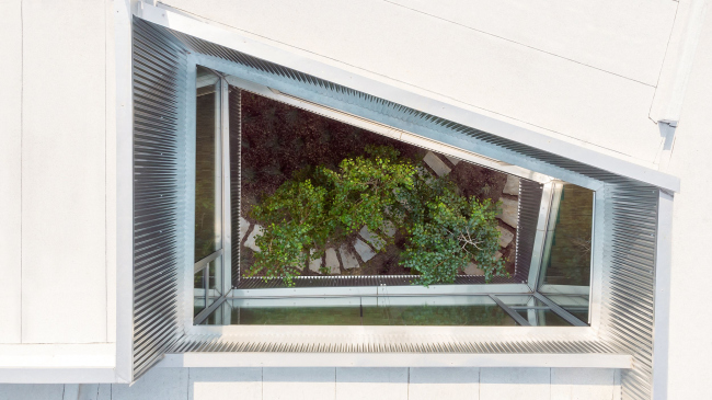 ������� ��� � ��������� ������ ��������