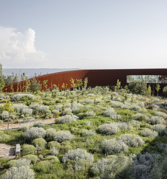 ������������� ����� � ���������