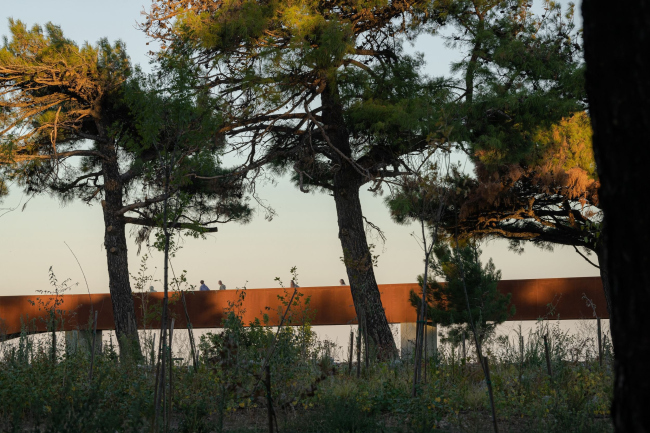 ������������� ����� � ���������