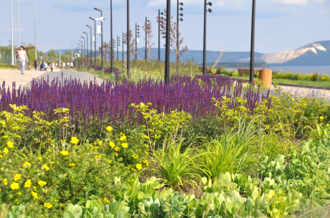 ���������� �������������� ������ ������ ��������. �������� ������ �� ��������� � ����������� ����