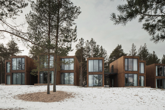 ����� ������ �� ����� � ����������, 2019