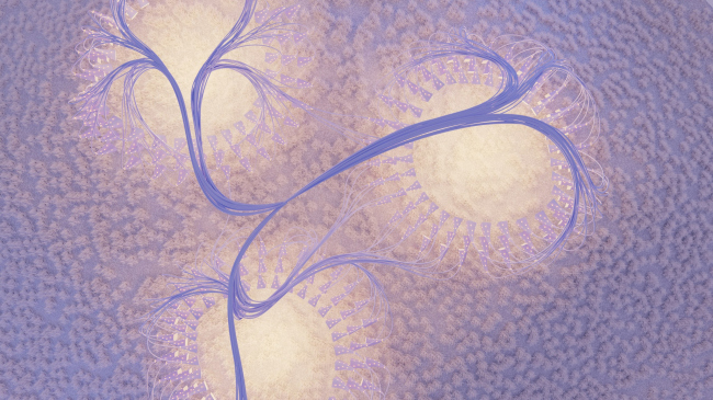 ������� �������� ��� ������ ������������� �������� � �������������