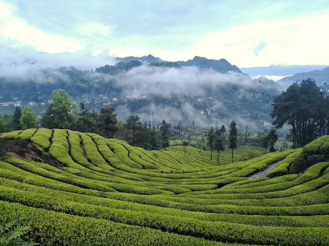 ����������� ������ ��� ������