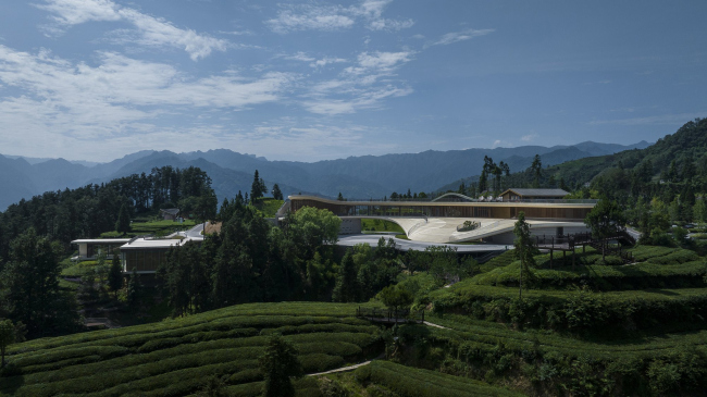 ����������� ����� ������ ��� ������