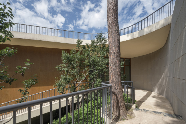 ����������� ����� ������ ��� ������