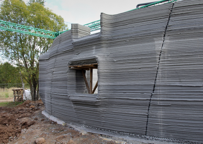 ������������� ���. ������������� ������ ����� Wonderdom � �������� ���� ����