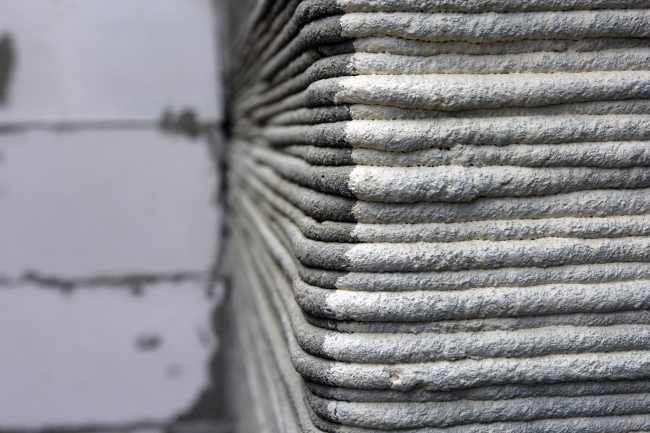 ����������� ����������� vs ��������.  ������������� ������ ����� Wonderdom � �������� ���� ����