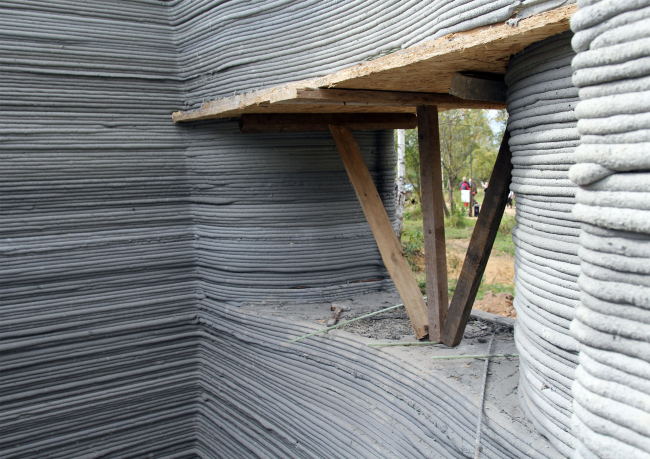 �������� � ����. ������������� ������ ����� Wonderdom � �������� ���� ����