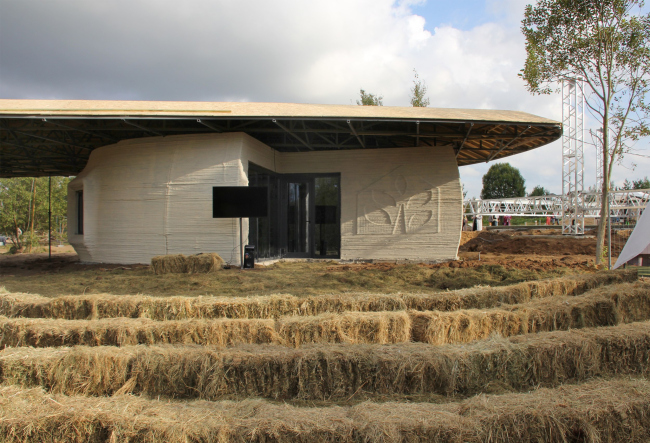 ������������� ������ ����� Wonderdom � �������� ���� ����